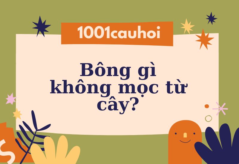 Giải câu đố: Bông gì không mọc từ cây?