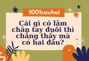Giải đố: Cái gì có lắm chân tay đuôi thì chẳng thấy mà có hai đầu?