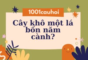 Giải câu đố: Cây khô một lá bốn năm cành là cái gì?