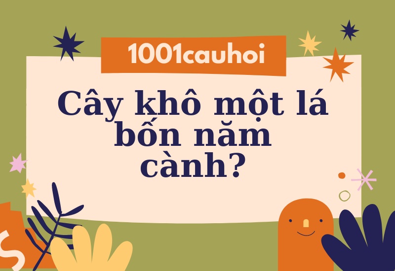 Cây khô một lá bốn năm cành