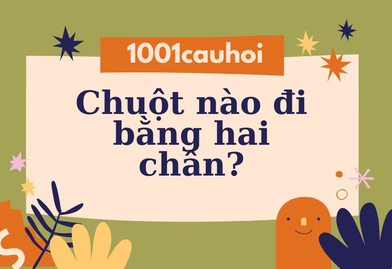 Giải câu đố: Chuột nào đi bằng hai chân?