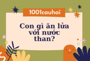 Giải đáp câu hỏi: Con gì ăn lửa với nước than?