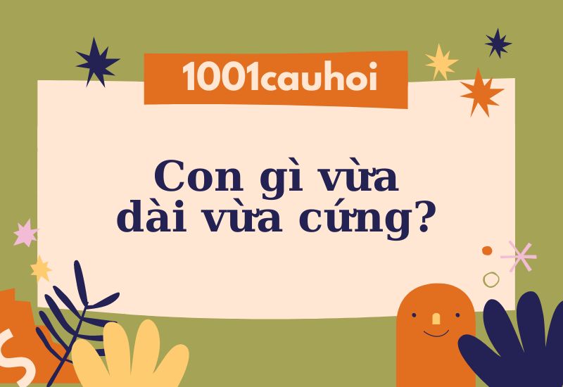 Giải câu đố: Con gì vừa dài vừa cứng?