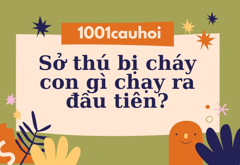 Giải câu đố: Sở thú bị cháy con gì chạy ra đầu tiên?