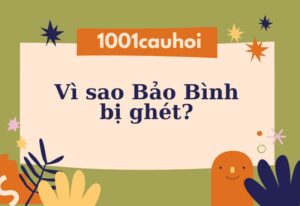 Vì sao Bảo Bình bị ghét? Giải thích lý do nhiều người không thích Bảo Bình