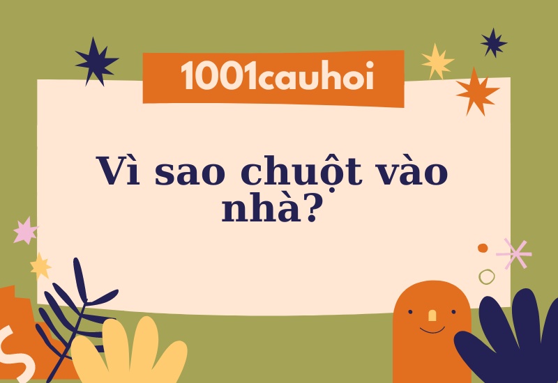 Vì sao chuột vào nhà