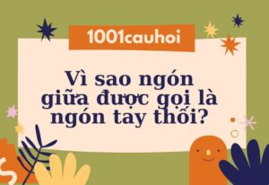 Trả lời câu hỏi: Vì sao ngón giữa được gọi là ngón tay thối?