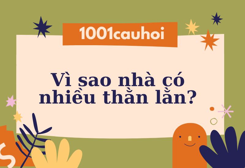 Trả lời câu hỏi: Vì sao nhà có nhiều thằn lằn?