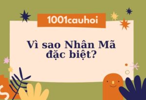 Vì sao Nhân Mã đặc biệt? Những điều thú vị của cung Nhân Mã