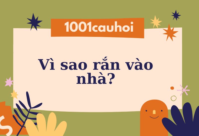 Vì sao rắn vào nhà? Nguyên nhân và cách đối phó