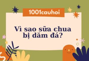 Vì sao sữa chua bị dăm đá? Nguyên nhân, cách khắc phục